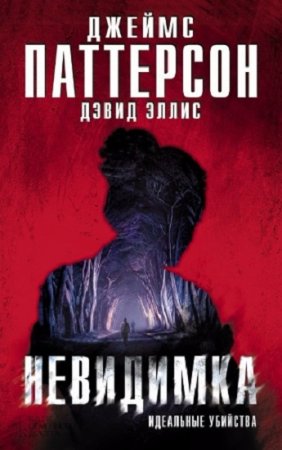Джеймс Паттерсон, Дэвид Эллис. Невидимка. Идеальные убийства